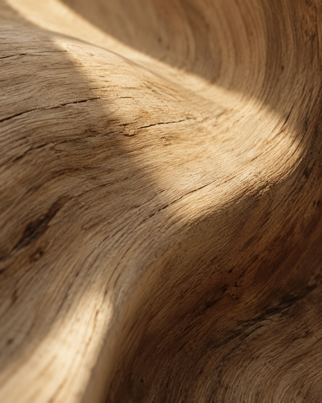 Textura de madera curvada bajo una luz cálida.